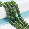 Dyed Natural Malaysia Jade Beads Strands G-G021-02C-13-3