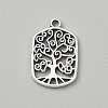Tibetan Style Alloy Pendants FIND-WH0818-10AS-09-1