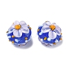 Handmade Lampwork Enamel Beads LAMP-Z020-05E-2