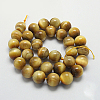 Natural Yellow Tiger Eye Beads Strands G-G212-10mm-18-2