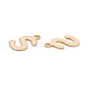 201 Stainless Steel Charms LS-STAS-C021-06G-S-2