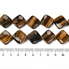 Natural Tiger Eye Beads Strands G-L239-19-5