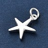 925 Sterling Silver Charms FIND-Z069-04S-A-3