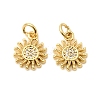 Brass Cubic Zirconia Charms ZIRC-C022-21G-1