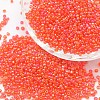 6/0 Round Glass Seed Beads SEED-J011-F6-165-1
