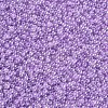 12/0 Grade A Round Glass Seed Beads SEED-N001-B-337-2