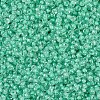 MIYUKI Round Rocailles Beads SEED-X0054-RR0219-3