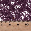 15/0 Transparent Czech Glass Seed Beads SEED-N004-004-19-6