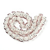 Handmade Lampwork Beads Strands LAMP-N021-42E-2