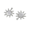 304 Stainless Steel Pendants STAS-D363-03P-2