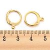 304 Stainless Steel Leverback Earring Findings X-STAS-D448-041G-3