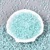 FGB Grade A Transparent Glass Seed Beads SEED-Q040-03A-02-3