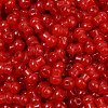 Transparent Colours Glass Seed Beads SEED-R001-01I-2