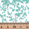 13/0 Glass Seed Beads SEED-T005-14A-A14-4