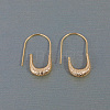 U-shaped Brass Dangle Earrings WD6040-3