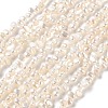 Natural Cultured Freshwater Pearl Beads Strands PA-CBABE82-02B-2
