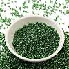 Glass Seed Beads X-SEED-S042-04B-26-2