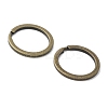 Iron Split Key Rings FIND-B046-06A-AB-2