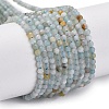 Natural Amazonite Beads Strands G-E351-10A-01-1