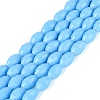 Opaque Solid Color Glass Beads Strands GLAA-N071-01A-C07-1