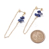 Natural Lapis Lazuli Chip Beads Dangle Stud Earrings for Women X1-EJEW-TA00028-05-4