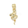 Brass Micro Pave Cubic Zirconia Pendants ZIRC-I356-43G-1