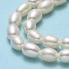 Natural Cultured Freshwater Pearl Beads Strands PEAR-J006-15A-01-4