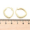 Oval Brass Micro Pave Clear Cubic Zirconia Hoop Earrings EJEW-Z121-02G-5