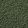 MIYUKI Delica Beads X-SEED-J020-DB1135-3
