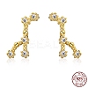 Cubic Zirconia Constellation Stud Earrings EJEW-P231-90G-07-2