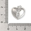 Rack Plating Brass & Clear Cubic Zirconia Pendants KK-S372-29P-3