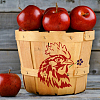 1 Set PET Hollow Out Drawing Painting Stencils DIY-MA0003-15-6