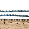 Natural Apatite Beads Strands G-K366-C07-2mm-5