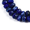 Handmade Lampwork Beads Strands LAMP-T007-13H-3
