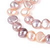 Natural Cultured Freshwater Pearl Beads Strands PEAR-T006-23-4