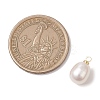 Natural Freshwater Pearl Rice Charms PALLOY-JF04858-02-2