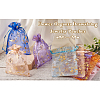 100Pcs 10 Colors Organza Drawstring Jewelry Pouches OP-TA0001-02-19