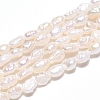 Natural Cultured Freshwater Pearl Beads Strands PEAR-N014-03H-2