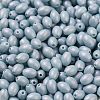 Baking Paint Glass Seed Beads SEED-C004-04H-3
