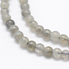 Natural Labradorite Beads Strands G-P322-31-4mm-3