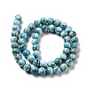 Natural Apatite Beads Strands G-G858-01B-3