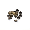 Brass Rivets PW-WG2BECC-14-1