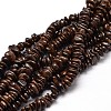 Natural Bronzite Chip Beads Strands X-G-E271-127-1