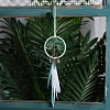 Woven Net/Web with Feather Hanging Ornaments PW-WG2EEA4-09-1