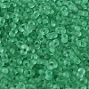 FGB Frosted Transparent Glass Seed Beads SEED-N013-06A-09-3