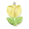 Translucent Resin Pendants LS-RESI-G078-01E-1
