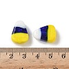 Handmade Lampwork Beads LAMP-Z014-01B-4