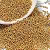 TOHO 6/0 Demi Round Beads X-SEED-DR06-PF557-3