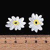 Natural White Shell Pendants SHEL-T020-66-3