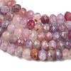 Natural Plum Blossom Tourmaline Beads Strands G-K421-A01-01-4